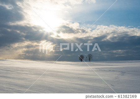 暴風雪波 暴風雪波 61382169