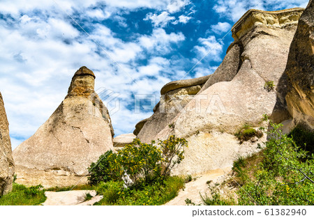 Fairy Chimney rock formations in Cappadocia, 61382940