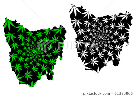 Tasmania - map is designed cannabis leaf 61383966