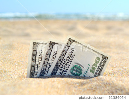 Money dolars half covered with sand lie on sandy beach near sea 61384054