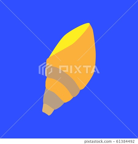 Seashell on the blue background 61384492