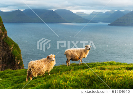 Morning view on the summer Faroe islands 61384640