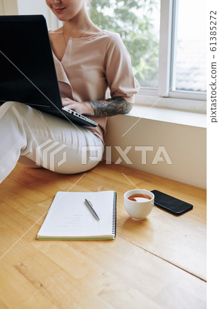 Female Freelancer Working At Home 61385272