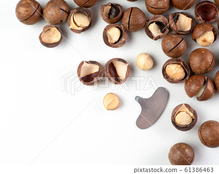 Set macadamia nuts isolated Set macadamia nuts isolated 61386463