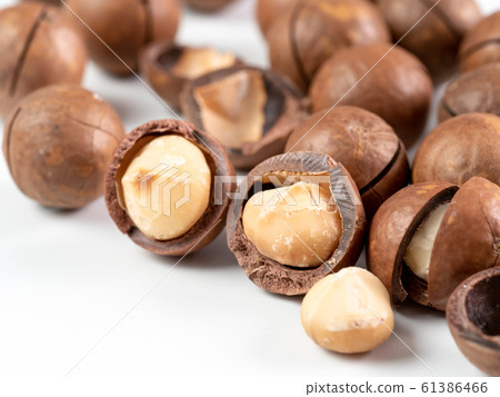 Set macadamia nuts isolated 61386466
