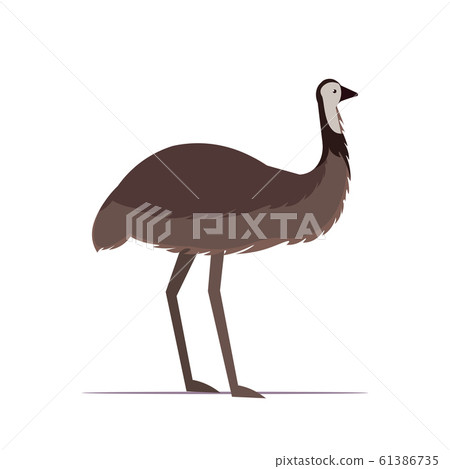 ostrich or emu icon cartoon endangered wild... - Stock Illustration  [61386735] - PIXTA