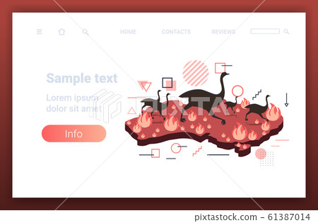 map of Australia with ostriches running from bushfire endangered animals dying in wildfire natural disaster concept intense orange flames copy space horizontal 61387014