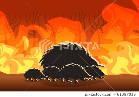 echidna silhouettes running from forest fires in australia animals dying in wildfire bushfire burning trees natural disaster concept intense orange flames horizontal