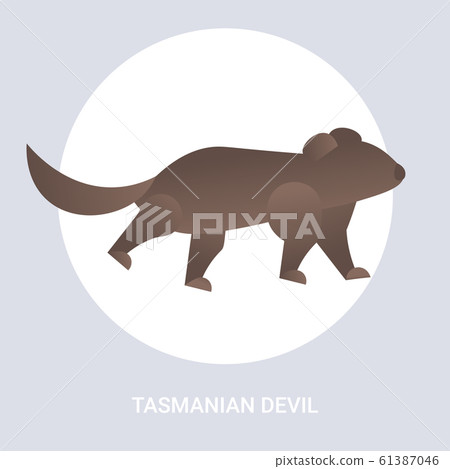 tasmanian devil icon cartoon endangered wild australian animal symbol wildlife species fauna concept flat tasmanian devil icon cartoon endangered wild australian animal symbol wildlife species fauna concept flat 61387046