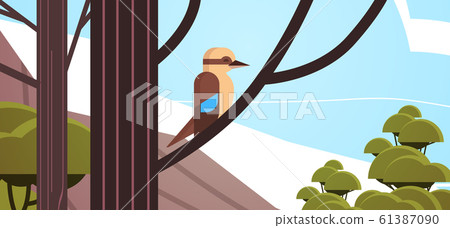 kookaburra bird sitting on branch australian wild animal wildlife fauna concept tropical island seascape background horizontal kookaburra bird sitting on branch australian wild animal wildlife fauna concept tropical island seascape background horizontal 61387090