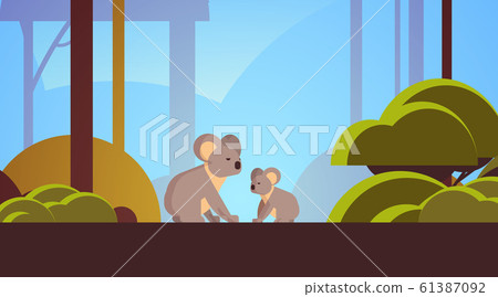 koalas mother with young joey walking in forest australian wild animal wildlife fauna concept landscape background horizontal 61387092