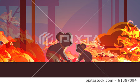 koalas escaping from fires in australia animals dying in wildfire bushfire natural disaster concept intense orange flames horizontal 61387094