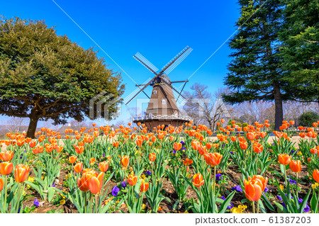 船橋安徒生公園 61387203