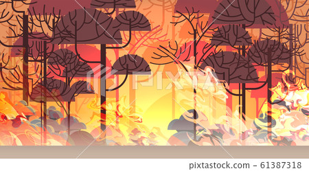 dangerous wildfire bush fire development dry woods burning trees global warming natural disaster concept intense orange flames horizontal 61387318
