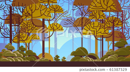 morning green tree forest beautiful nature landscape background flat horizontal morning green tree forest beautiful nature landscape background flat horizontal 61387329