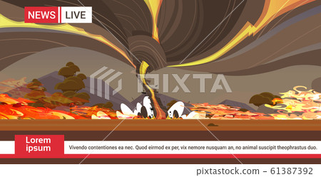 live brodcasting dangerous wildfire australia bush fire development dry woods burning trees global warming natural disaster breaking news concept intense orange flames horizontal copy space 61387392
