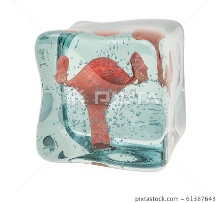 Human uterus frozen in ice cube, 3D rendering 61387643