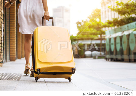 Girl traveler and suitcase Girl traveler and suitcase 61388204