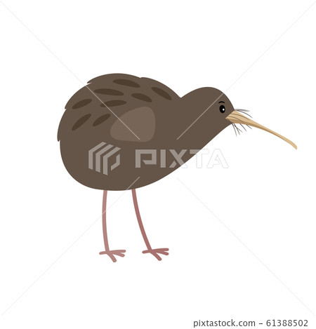 Kiwi cute cartoon bird icon 61388502