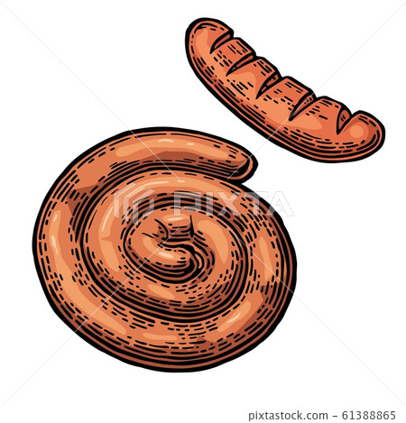 Sausage. Vintage vector engraving illustration 61388865