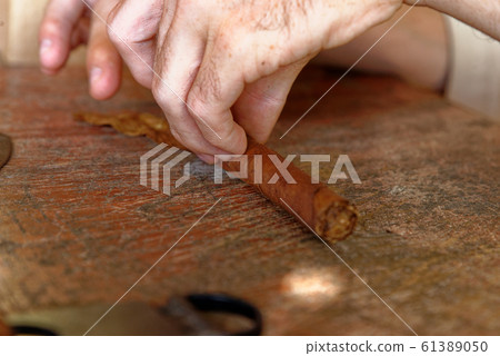 Making a cuban cigar in Viniales - Cuba Making a cuban cigar in Viniales - Cuba 61389050