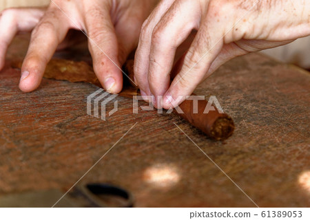 Making a cuban cigar in Viniales - Cuba Making a cuban cigar in Viniales - Cuba 61389053