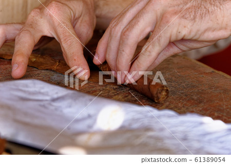Making a cuban cigar in Viniales - Cuba 61389054