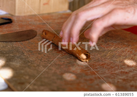 Making a cuban cigar in Viniales - Cuba Making a cuban cigar in Viniales - Cuba 61389055