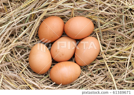 many brown eggs on rice straw.The benefits of egg many brown eggs on rice straw.The benefits of egg 61389671