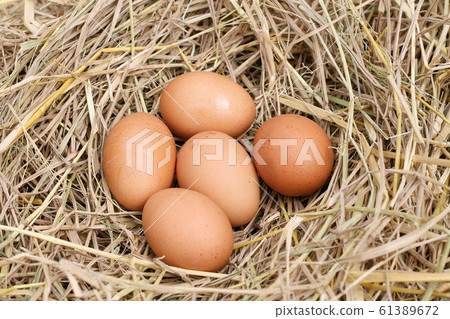many brown eggs on rice straw.The benefits of egg many brown eggs on rice straw.The benefits of egg 61389672