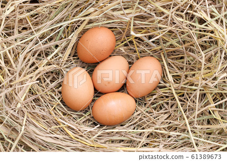 many brown eggs on rice straw.The benefits of egg many brown eggs on rice straw.The benefits of egg 61389673