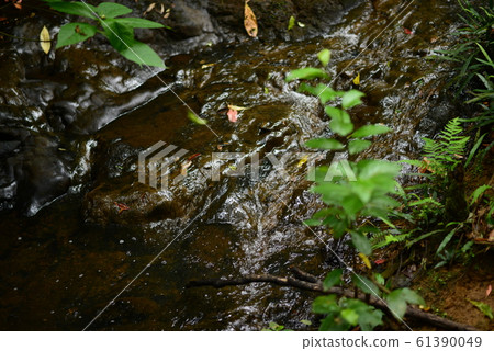 Small stream Small stream 61390049