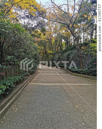 Downhill green road 61390737