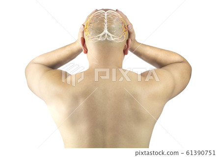 asian man touch head feel headache migraine , x-ray brain 61390751