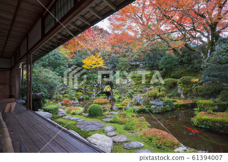 Autumn leaves of Kyoto Ohara の Jikoin 61394007