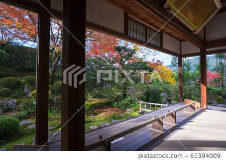 Autumn leaves of Kyoto Ohara の Jikoin 61394009