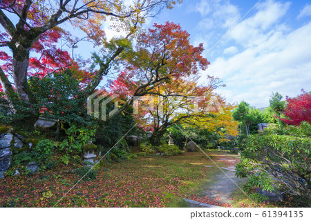 京都大原的秋葉のJikoin 61394135