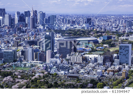 (Tokyo) Tokyo cityscape Shinjuku area 61394947
