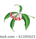 Manryo(萬輛) Manryo(萬輛) 61395023