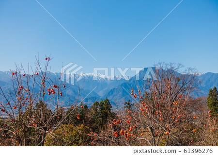 Remaining Persimmon and Northern Alps: Azumino, Ikeda-cho, Kitaazumi-gun Remaining Persimmon and Northern Alps: Azumino, Ikeda-cho, Kitaazumi-gun 61396276