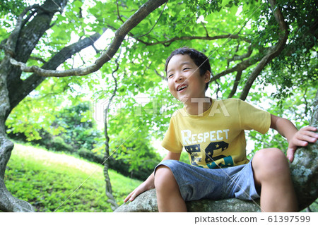 Boy climbing a tree Boy climbing a tree 61397599