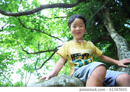 爬樹的男孩 61397603