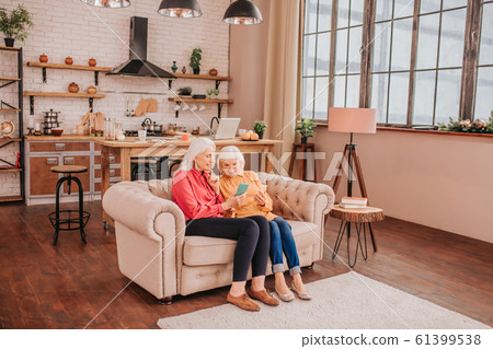 Two pleasant-looking elderly grey-haired women sitting on the sofa 61399538