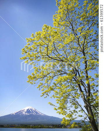 Fuji in spring, Lake Kawaguchi Fuji in spring, Lake Kawaguchi 61399572