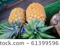pineapple  61399596