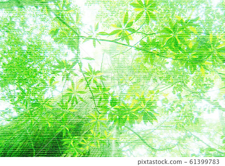 新鮮的綠色,森林,攝影藝術 新鮮的綠色,森林,攝影藝術 61399783