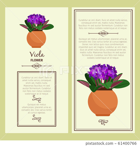 Greeting card with viola plant 61400766