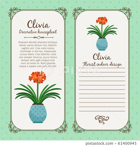 Vintage label with clivia plant 61400945