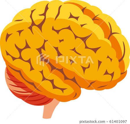 Human brain Human brain 61401097