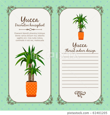Vintage label with yucca plant 61401205